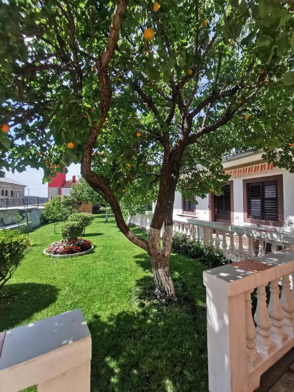 Vonkajšia záhrada v ubytovaní Apartment Neven