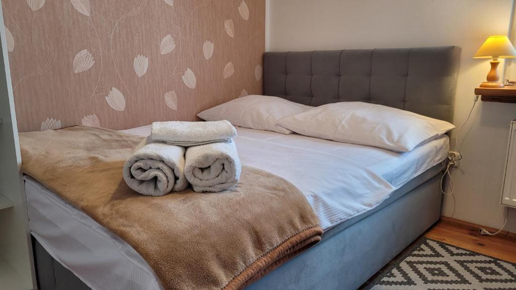 Pokoje Żabi Staw - Petite Chambre Double