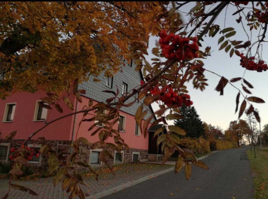 a red building with a tree with red berries on it at Ferienwohnung Zum Ausblick in Kurort Altenberg