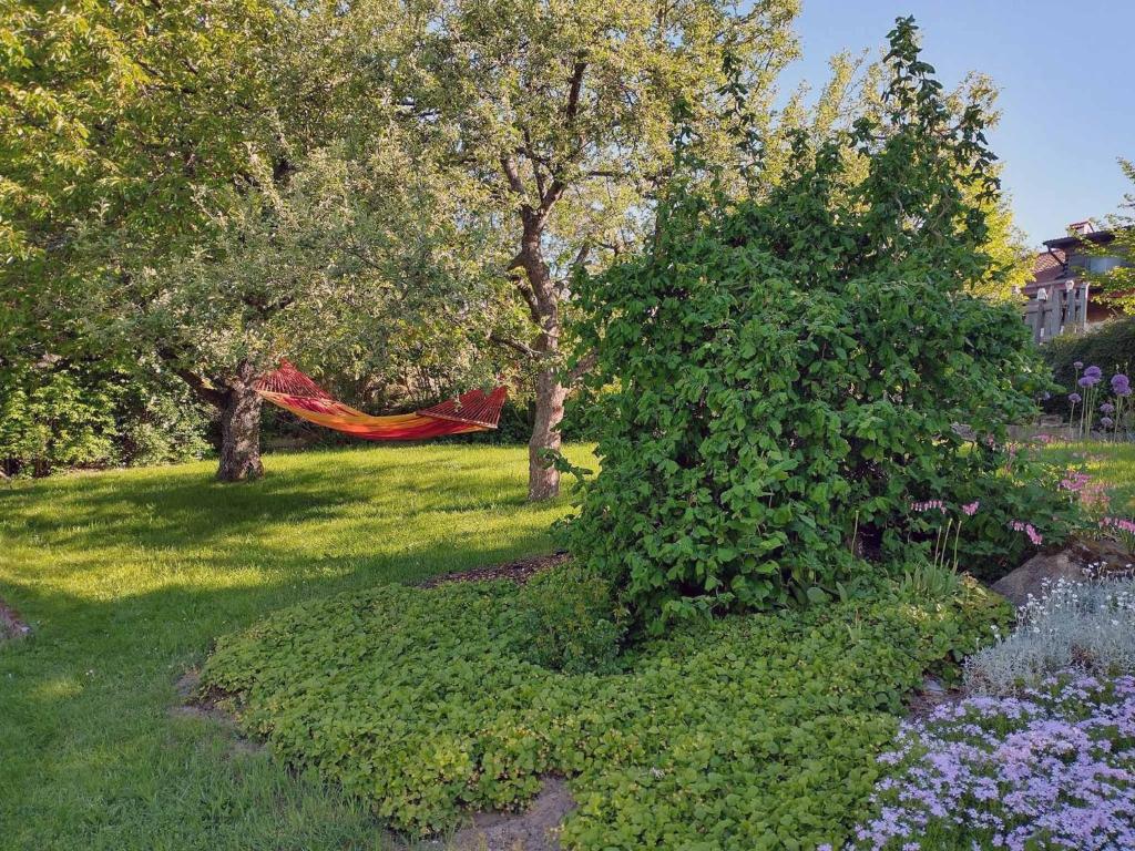 Zahrada ubytování Ferienwohnung Stocker