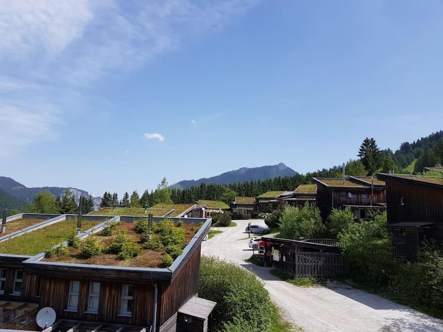 a group of buildings with plants on the roofs at Chalet Chocolat in Hohentauern