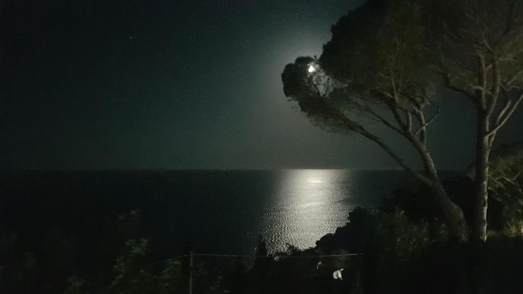 Príroda v okolí vily
