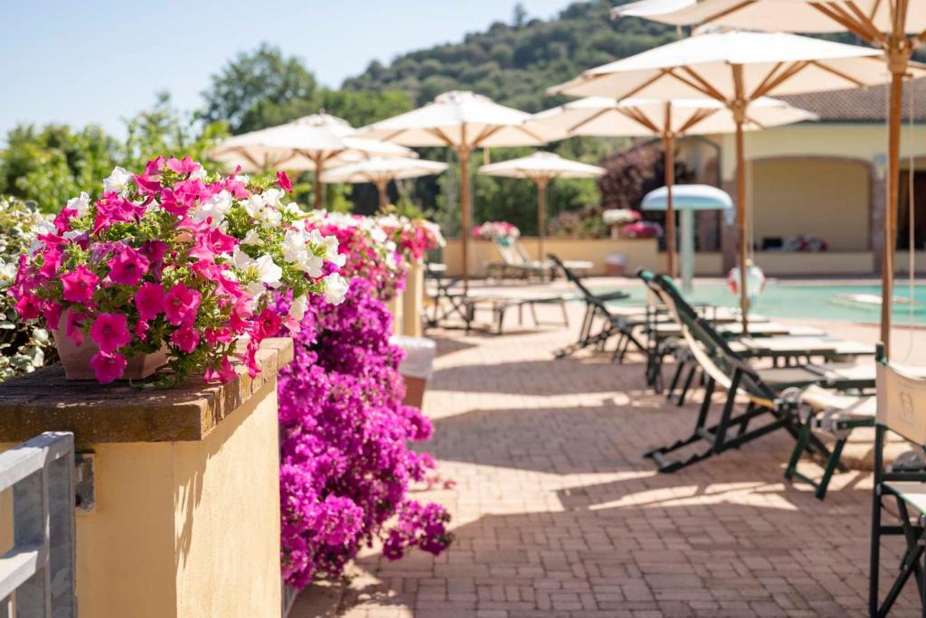 Bazén v ubytování OasiMaremma Village nebo v jeho okolí