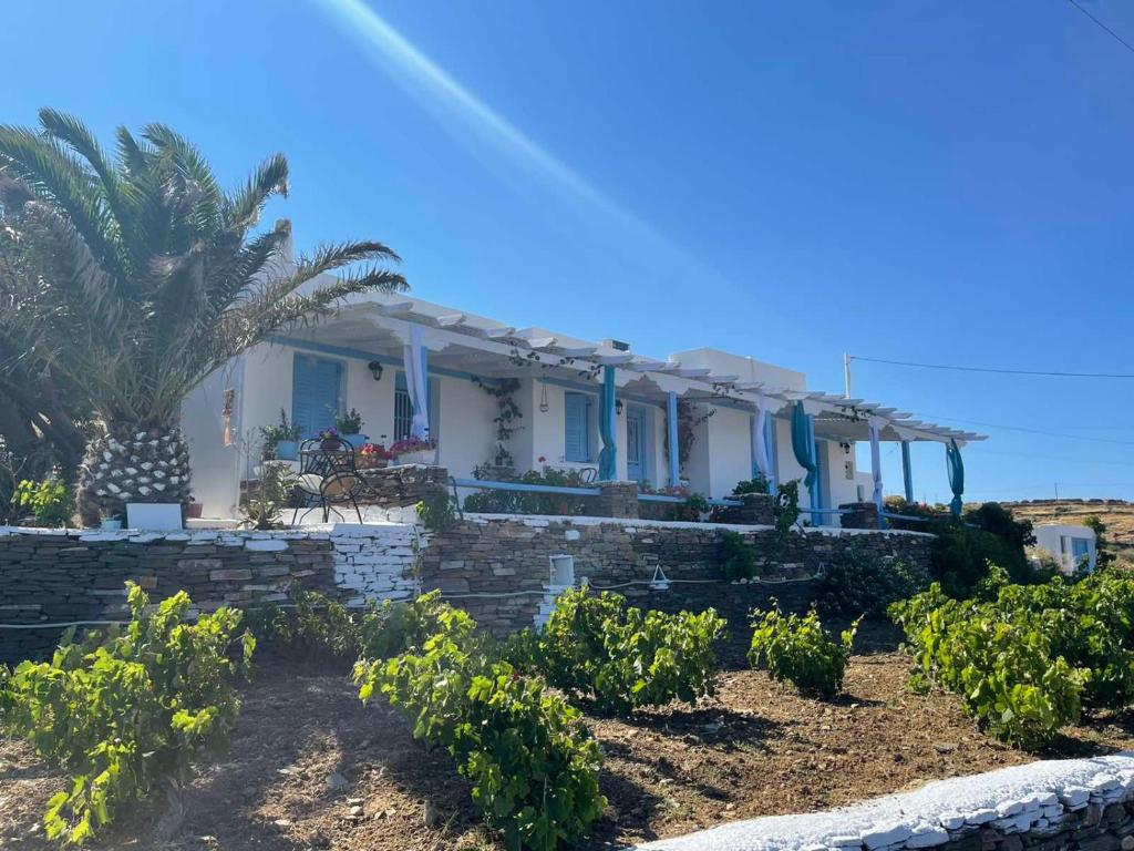 uma casa com uma palmeira em frente em Mihaela Apartments Sifnos em Faros
