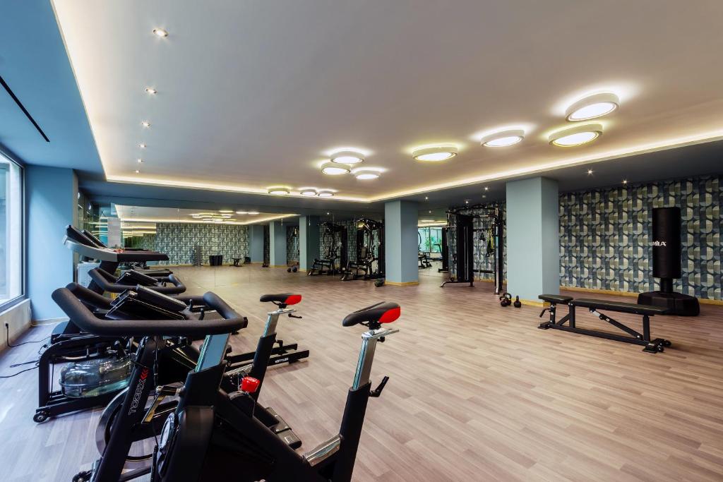 a gym with a bunch of exercise bikes in it at Ammoa Luxury Hotel & Spa Resort in Nikiti