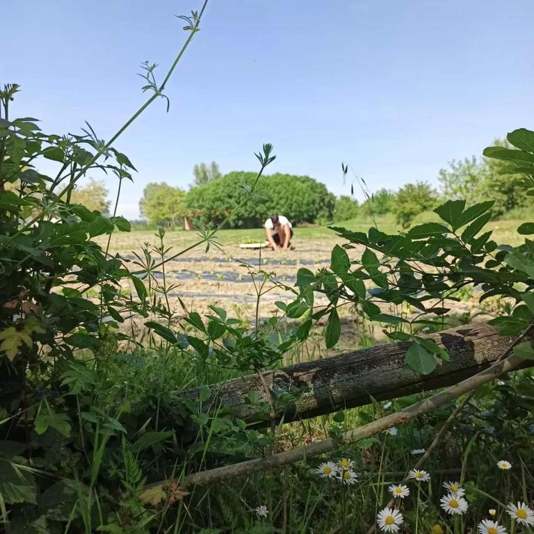 Paesaggio naturale nelle vicinanze dell'agriturismo