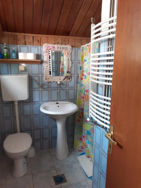 Guest House Vila Bak的一间浴室