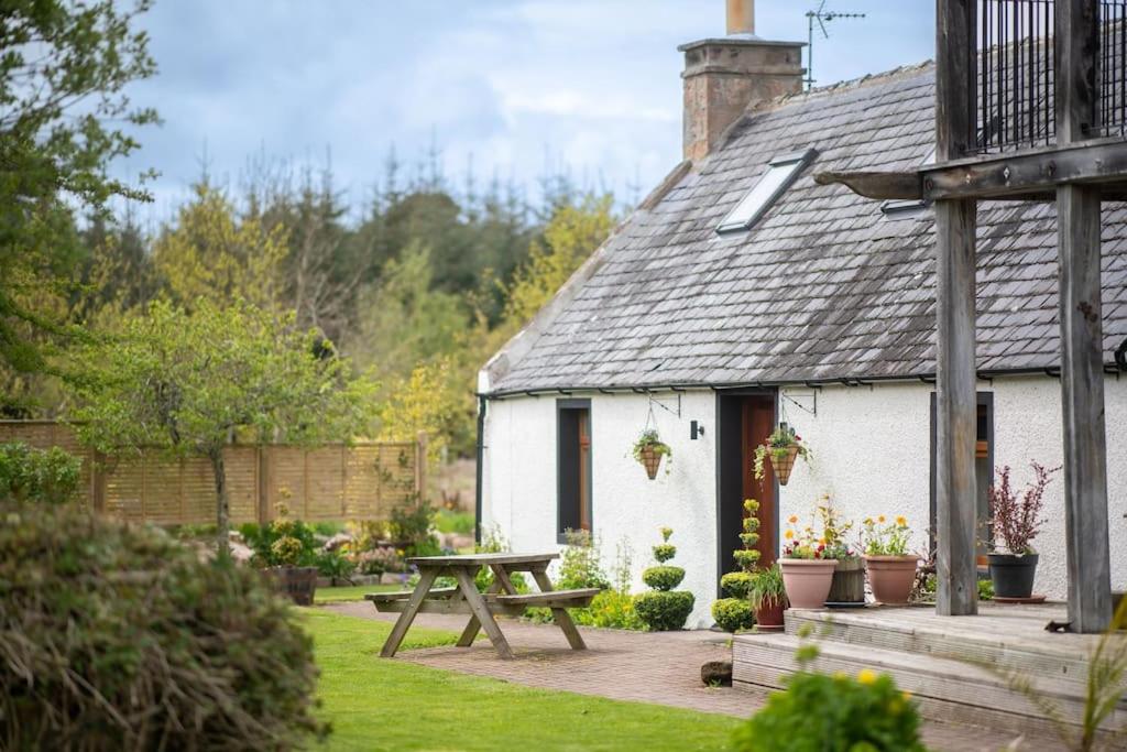 a white cottage with a picnic table in front of it at Cosy & rustic retreat - Woodland Cottage. in Nairn