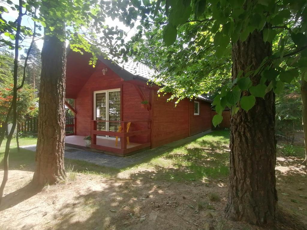 a red cabin in the woods with trees at DOMEK POD SOSNAMI in Krasnobród
