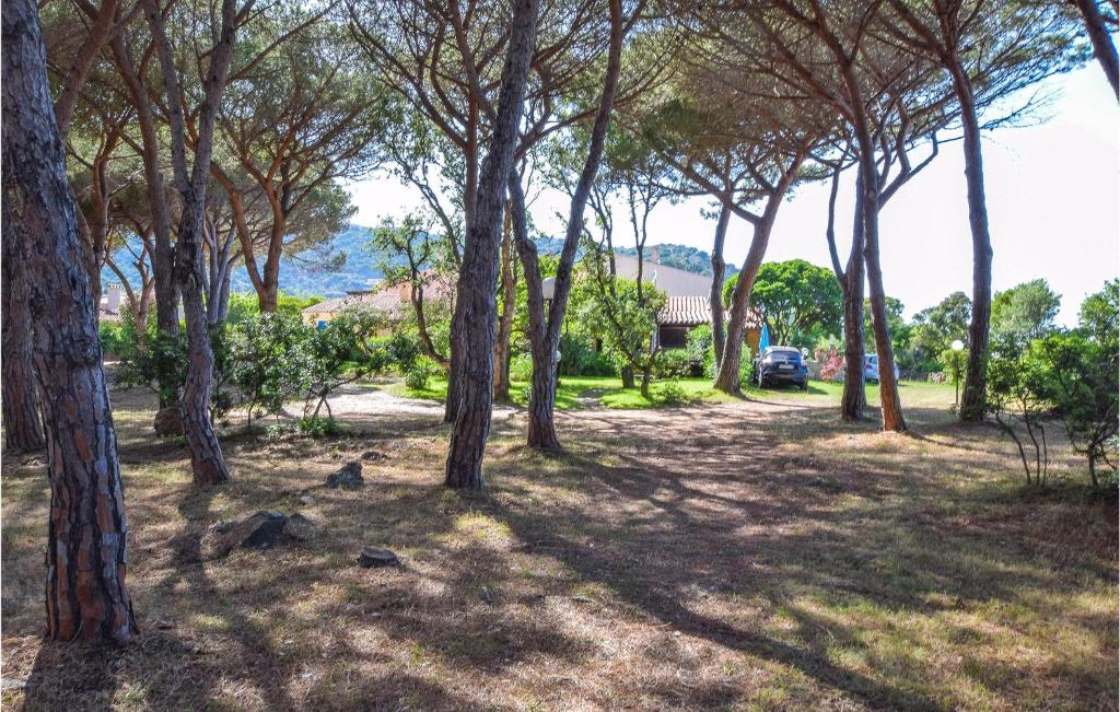 a group of trees in a park with a car at 1 Bedroom Cozy Home In Budoni in Budoni