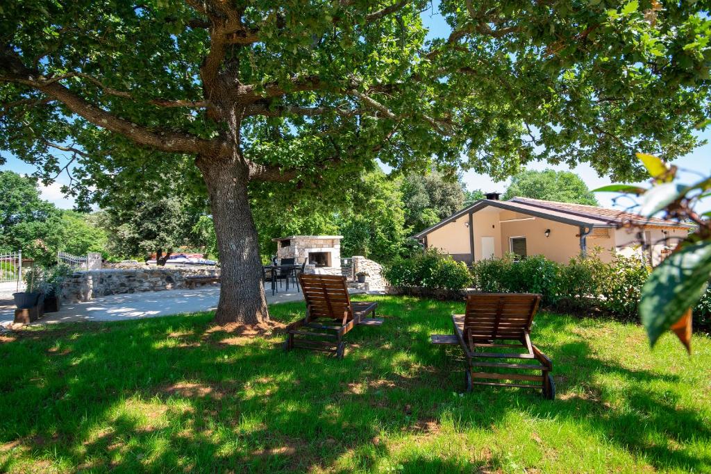 tres sillas sentadas bajo un árbol en la hierba en Old Oak Holiday House en Rovinj