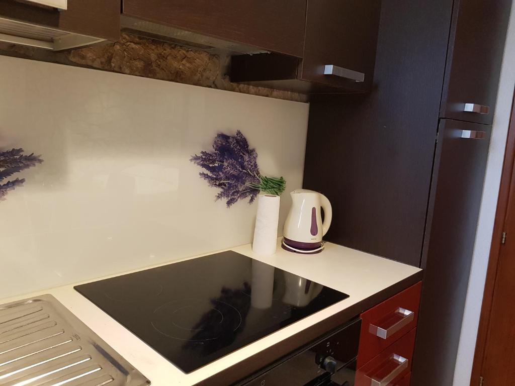 Kuchyň nebo kuchyňský kout v ubytování Studio apartment Jelinek