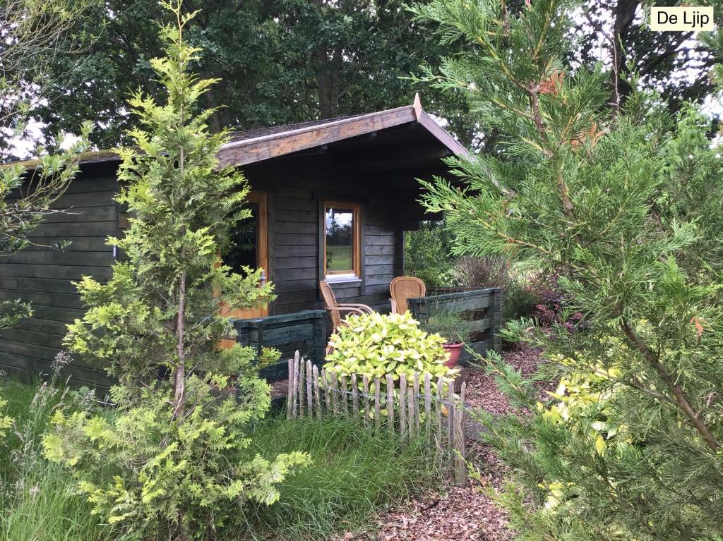 eine Blockhütte im Wald mit Bäumen in der Unterkunft B&B De Flecht - De Ljip in Nijega