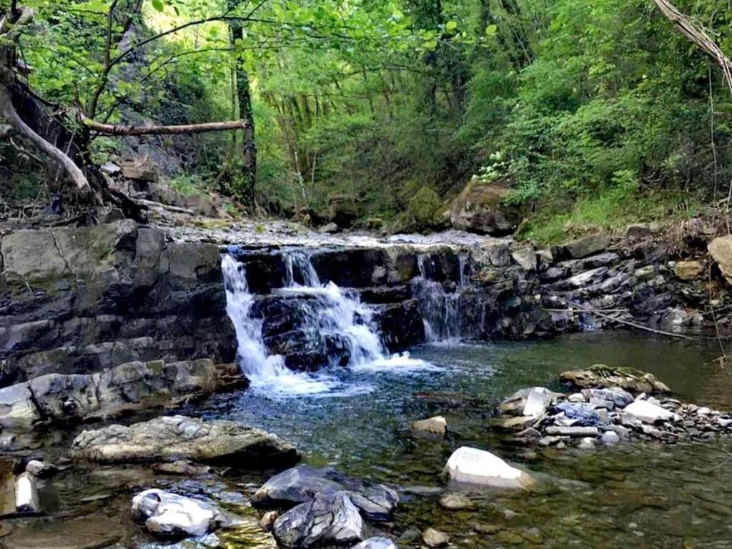 Derechos de imagen reservados por Booking.com