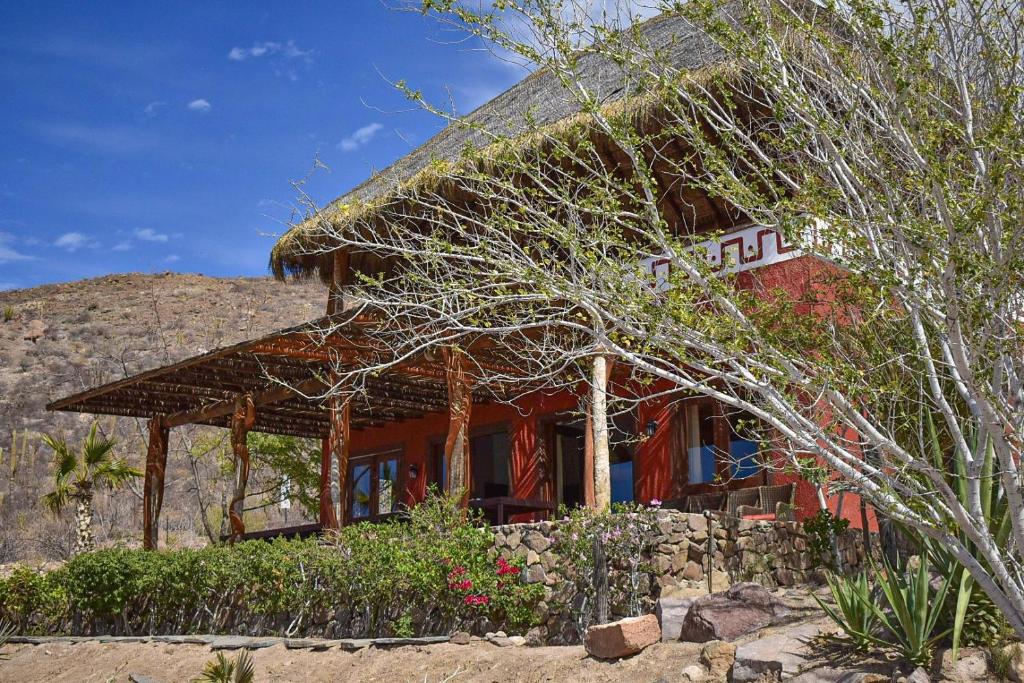 Stay at a ranch! Horseback riding & Food included!, La Paz (updated