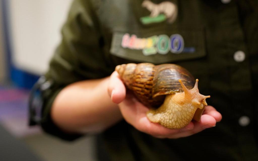 L'Hôtel Québec par JARO - Resim 44