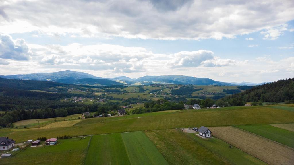 Príroda v okolí chaty v prírode
