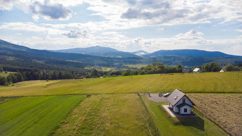 Príroda v okolí chaty v prírode