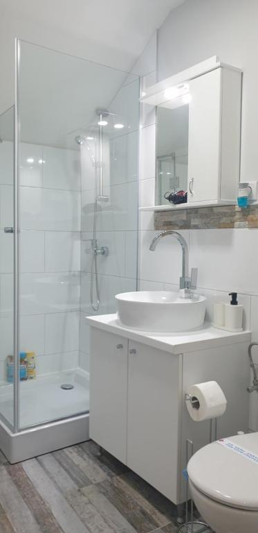 Koupelna v ubytování Apartmani Statik SD