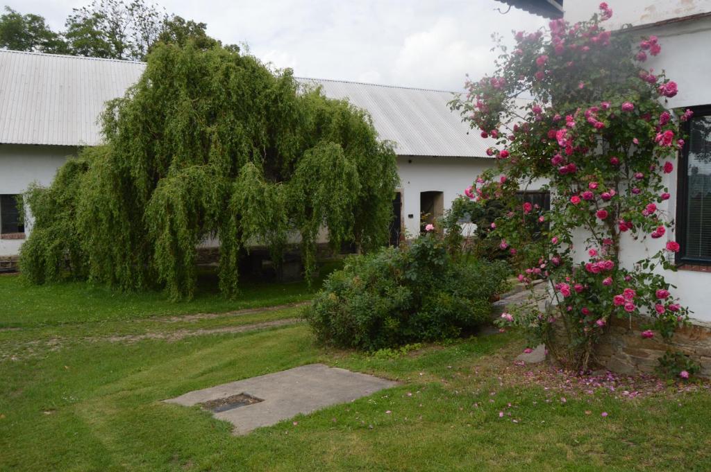 Zahrada ubytování Bohemica Apartman 1
