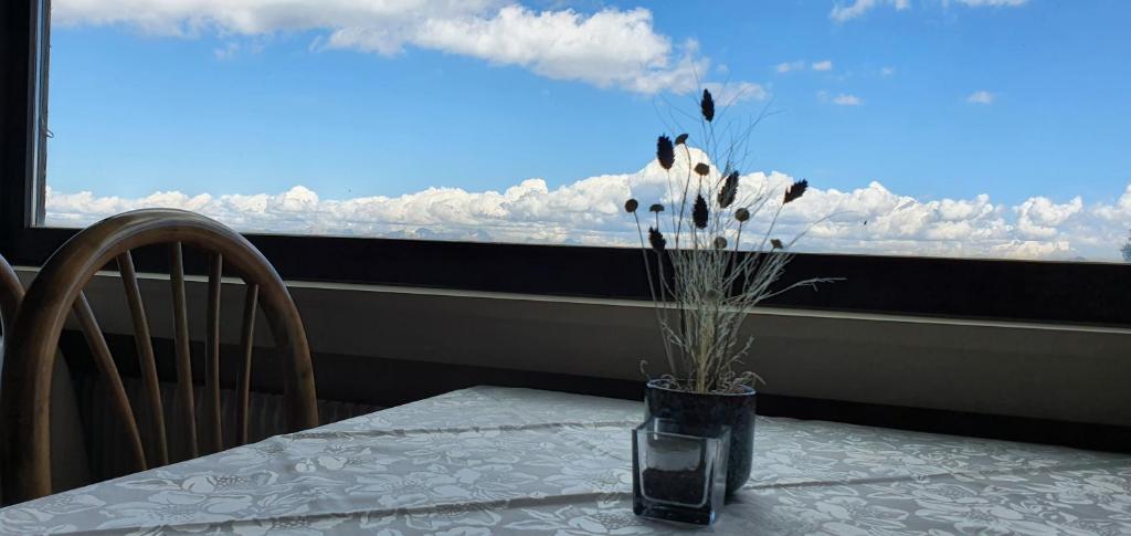 A balcony or terrace at PanoramaHotel Penegal
