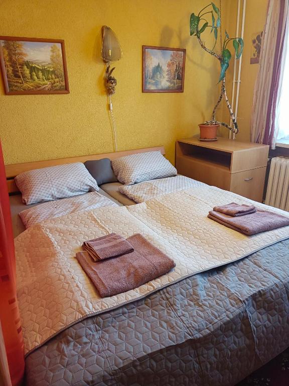 Postel nebo postele na pokoji v ubytování Příjemné bydlení na výlety po okolí