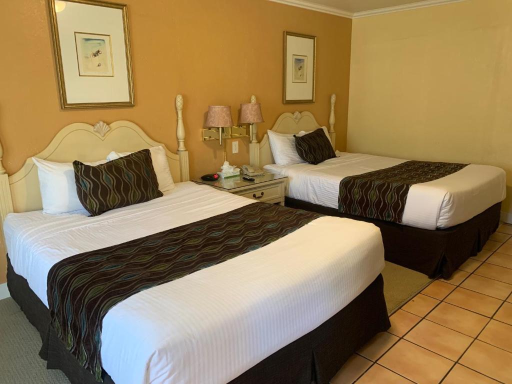 Oasis Inn and Suites - 
