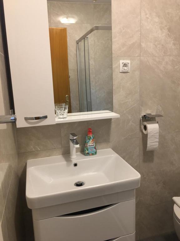 Kúpeľňa v ubytovaní Apartmani Dušanka