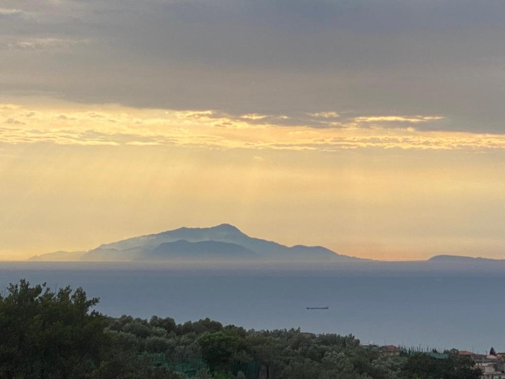 Zdjęcie z galerii obiektu Firefly Home Sorrento w Sorrento