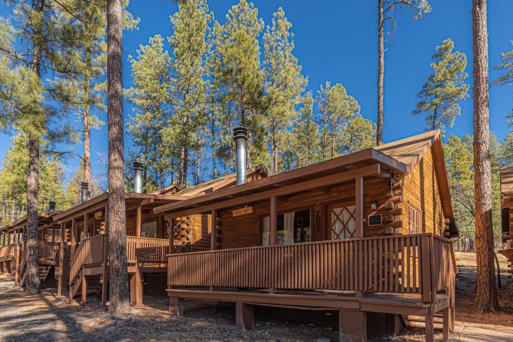 una cabaña de madera en el bosque con árboles en Forest Cabin 2 Birds Nest, en Payson