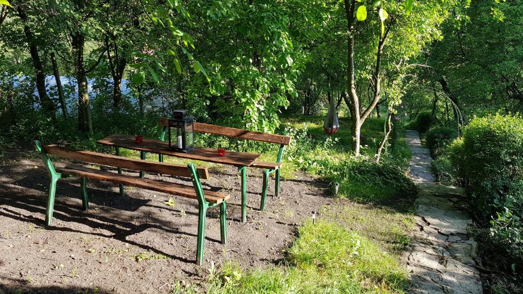 Zahrada ubytování Casa Vanatorului