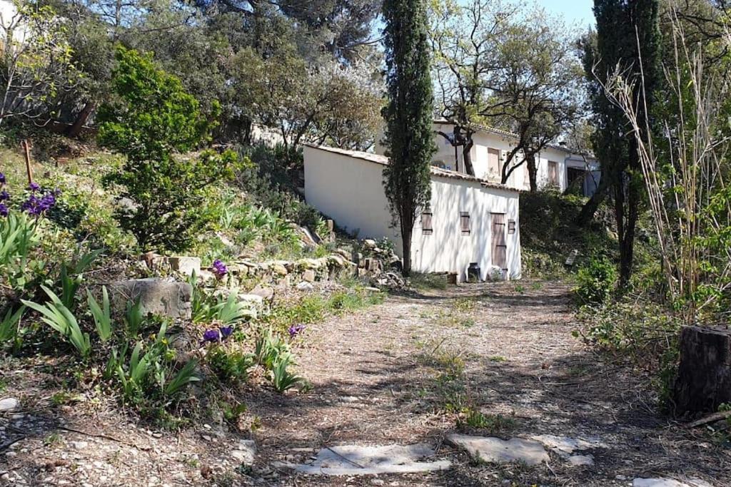 Vonkajšia záhrada v ubytovaní maison dans un écrin de chênes provençale