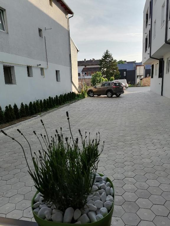 Okolí apartmánu