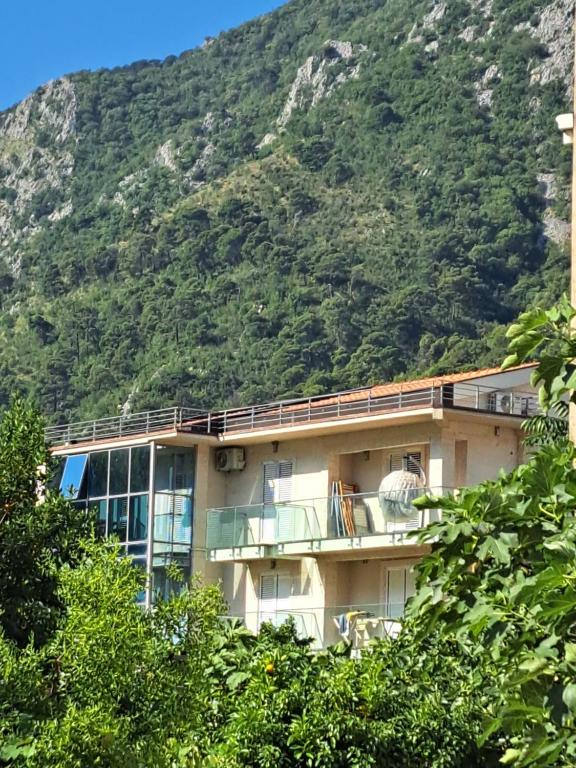 a building with a mountain in the background at Apartments with sea view in Prcanj in Kotor