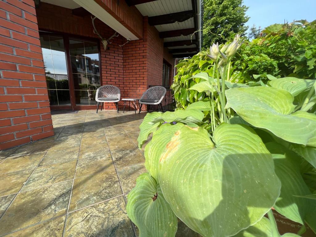 Vonkajšia záhrada v ubytovaní Willa Garden 2 z pięknym ogrodem i tarasem