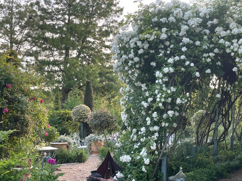 um jardim com flores brancas sobre uma cerca em Les Jardins Haute Couture em Huismes
