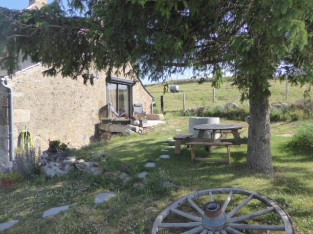 una mesa de picnic y un árbol en un patio en L’oustal, en Nasbinals
