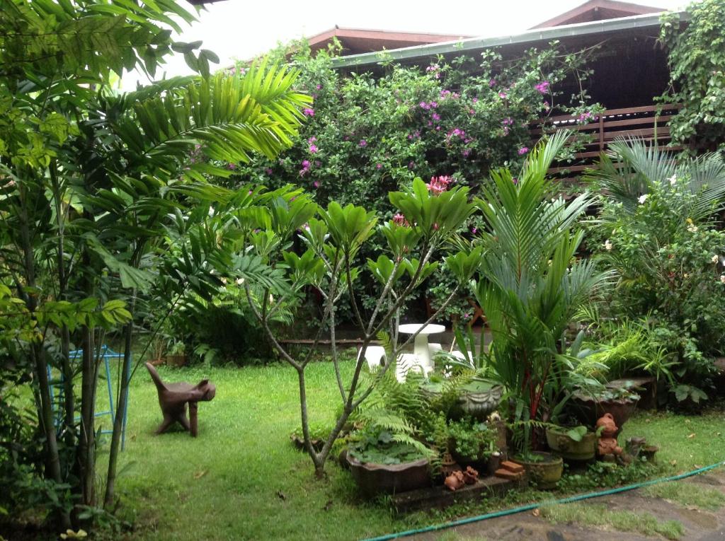 um jardim com muitas plantas e árvores diferentes em Banban Nannan Library and Guesthome em Nan