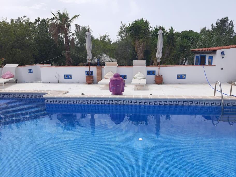 Luxury Villa Claudia, LAmetlla de Mar – Updated 2023 Prices