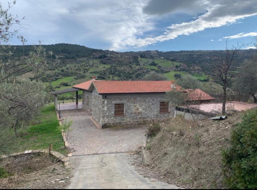 Príroda v okolí vily