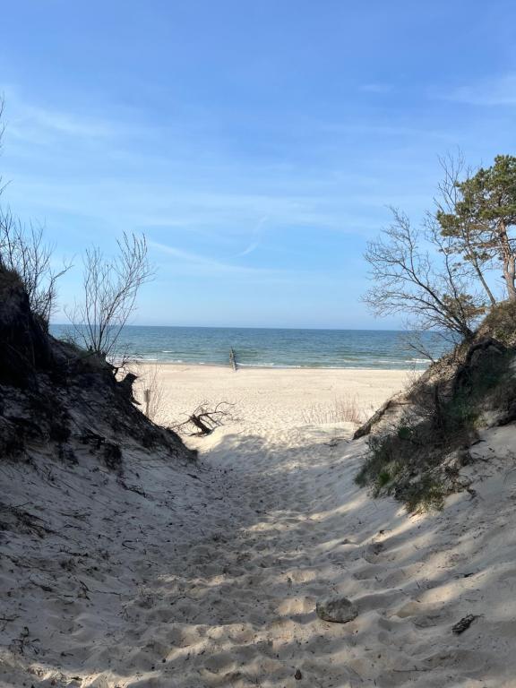 a sandy beach with a person walking on the ocean at Apartamenty Pobierowo PINEA in Pobierowo