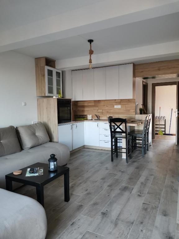 Kuchyň nebo kuchyňský kout v ubytování KATUN Apartmani & SPA