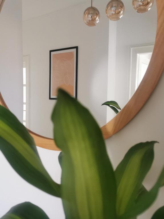 Imagem da galeria de Lu&Lu em Split