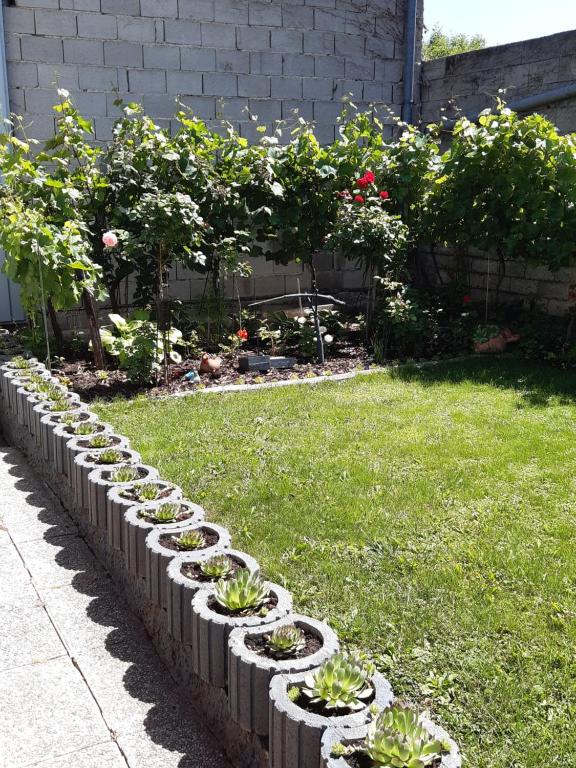 Zahrada ubytování Ferienzimmer LANG