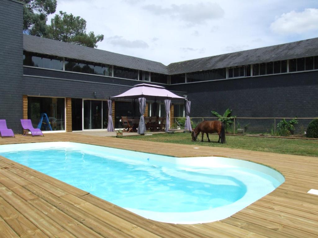 a pool with a cow standing next to a building at Le Clos du Chêne in Langon