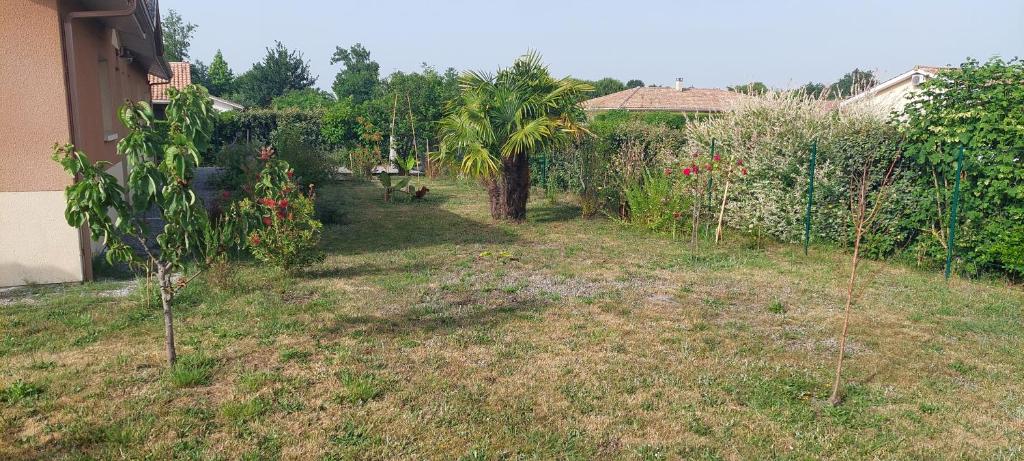 Gite des Pins - Casa De Tres Dormitorios