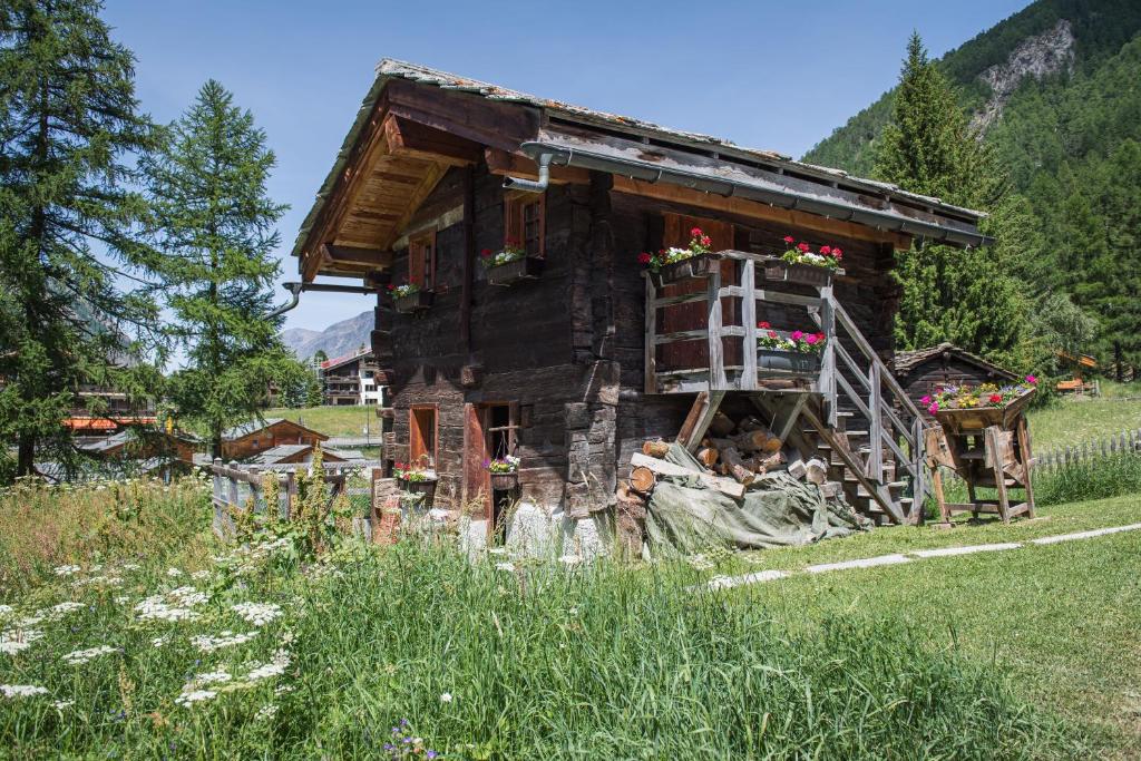 Příroda nedaleko apartmánu