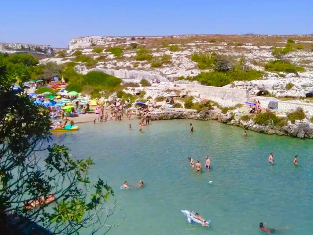 Táj Show holiday homes közelében