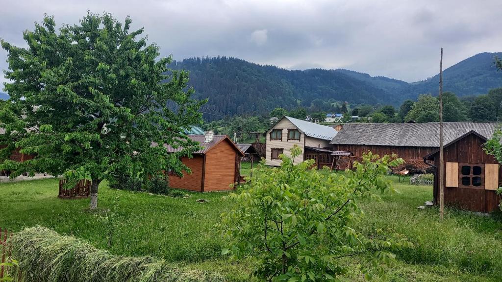un pueblo con casas y un árbol en un campo en Садиба Файні Карпати en Krasnik