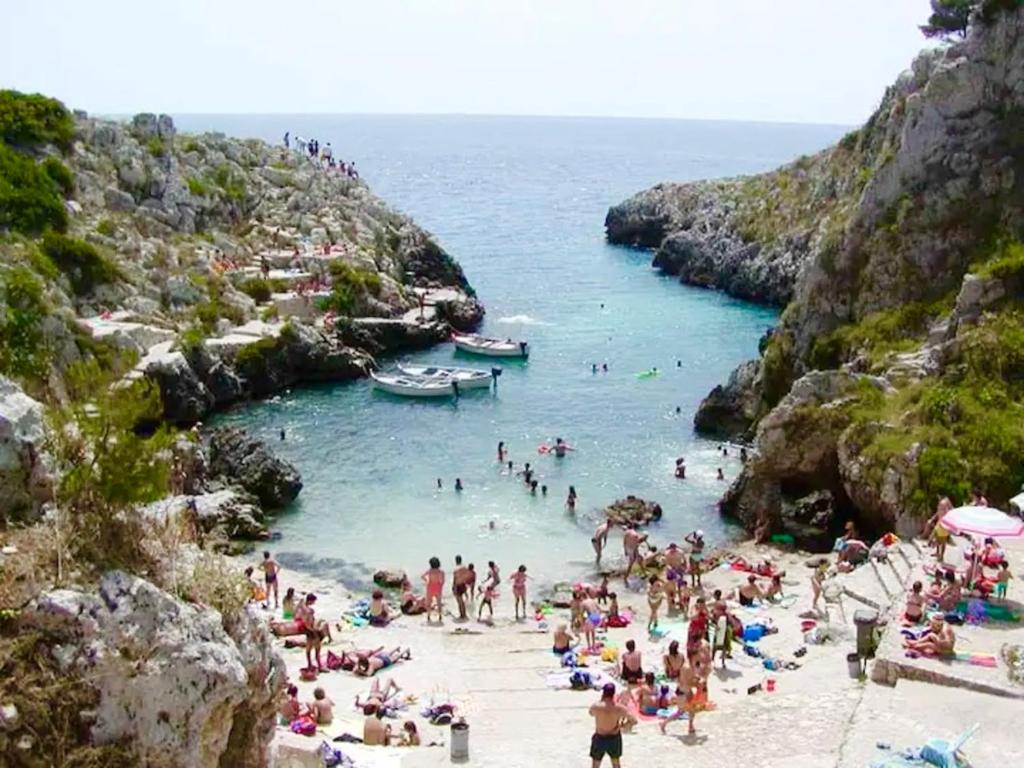 Táj Show holiday homes közelében